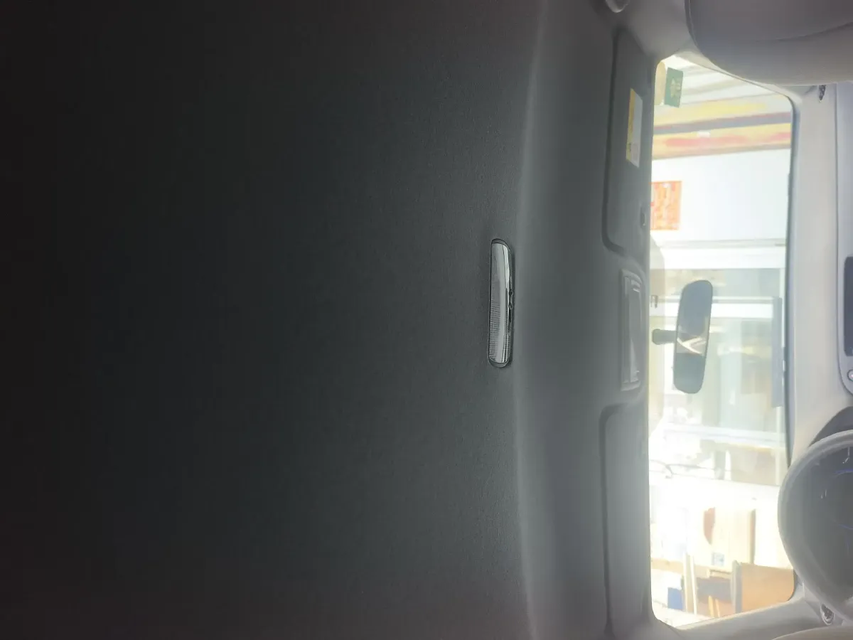 2020 Ciimo X-NV BEV 53.6KWH,autocango,china used car exporter,china ev exporter,chinese used car exporter,chinese used ev exporter