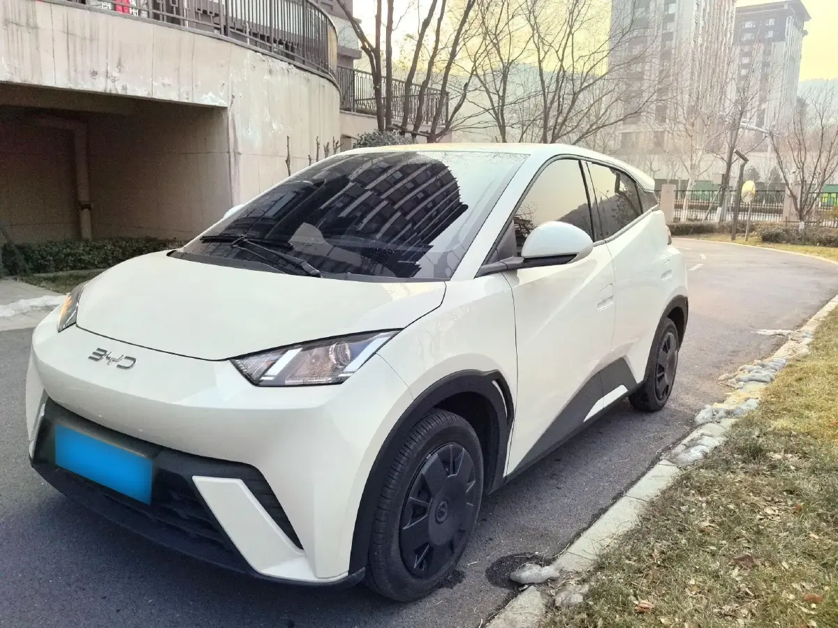 2024 BYD Seagull BEV 30.08KWH