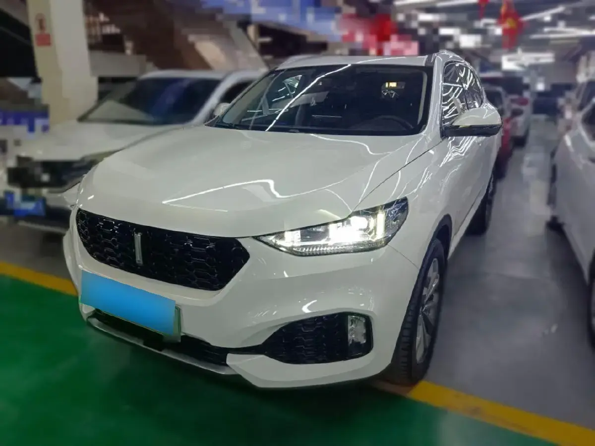 2018 WEY VV6 2.0T 197HP L4 7DCT