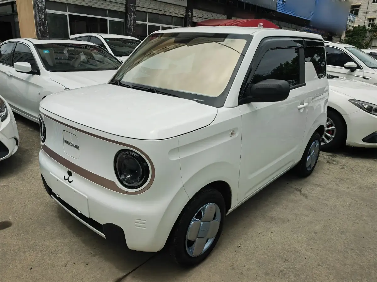 2023 Geely Panda BEV 17.03KWH