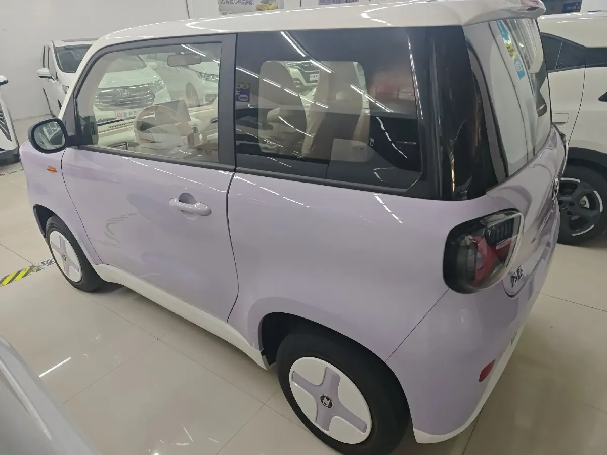 2024 ZD Rainbow BEV 17.3KWH,autocango,china used car exporter,china ev exporter,chinese used car exporter,chinese used ev exporter