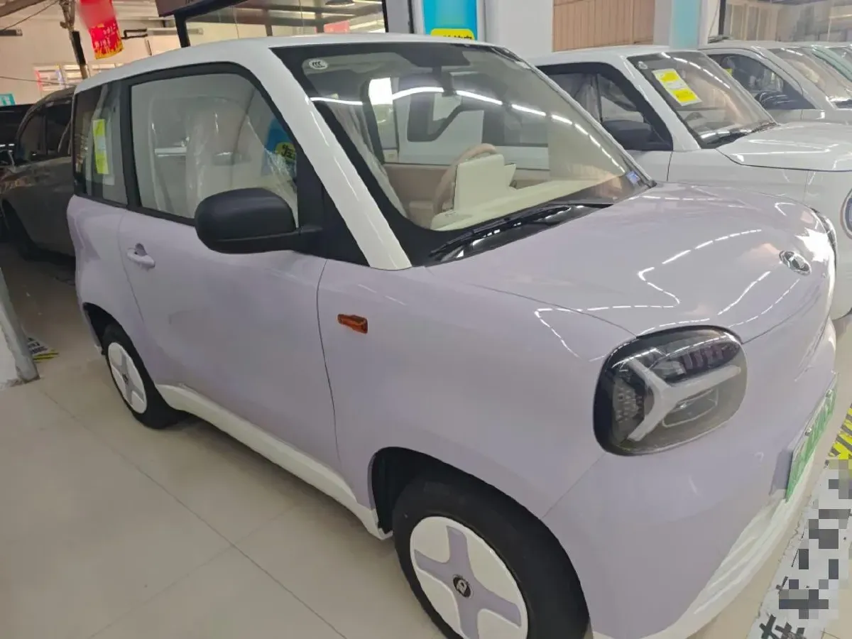 2024 ZD Rainbow BEV 17.3KWH,autocango,china used car exporter,china ev exporter,chinese used car exporter,chinese used ev exporter