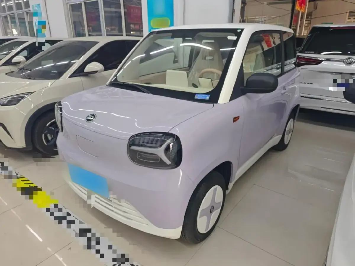 2024 ZD Rainbow BEV 17.3KWH