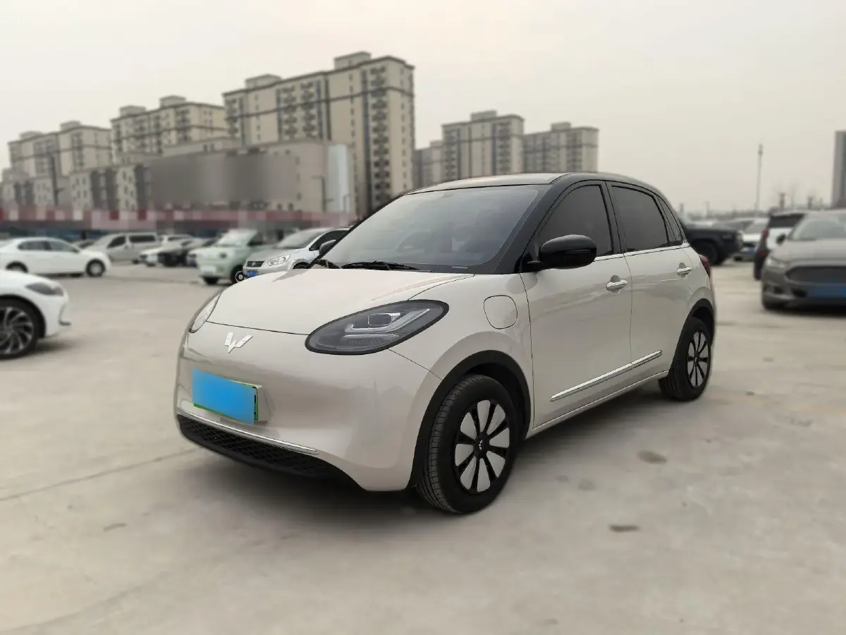2024 WuLing BinGuo BEV 31.9KWH