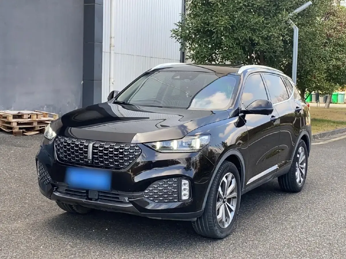 2020 WEY VV6 2.0T 227HP L4 7DCT