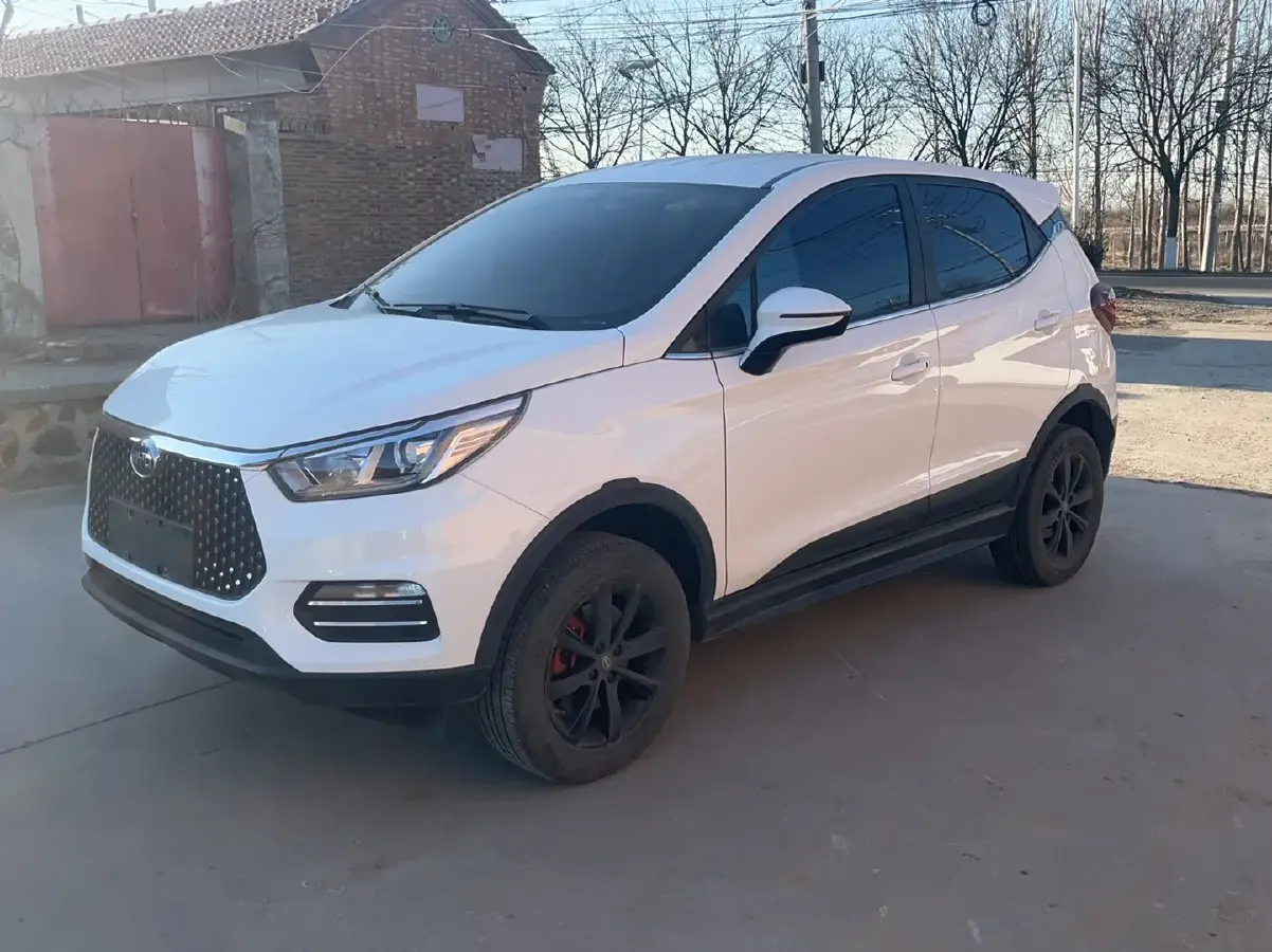 2019 BYD S2 BEV 40.62KWH