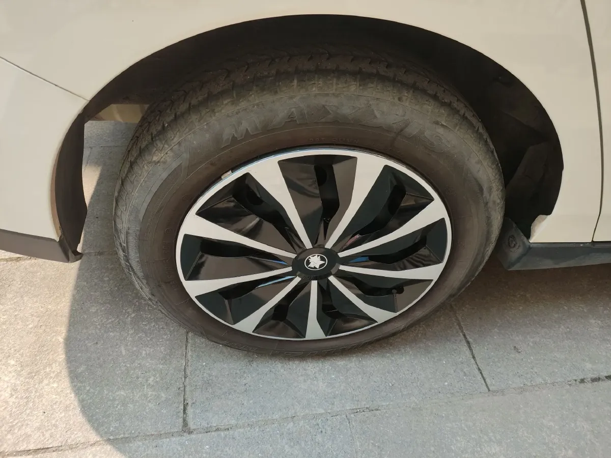 2022 Venucia D60 EV BEV 50KWH,autocango,china used car exporter,china ev exporter,chinese used car exporter,chinese used ev exporter