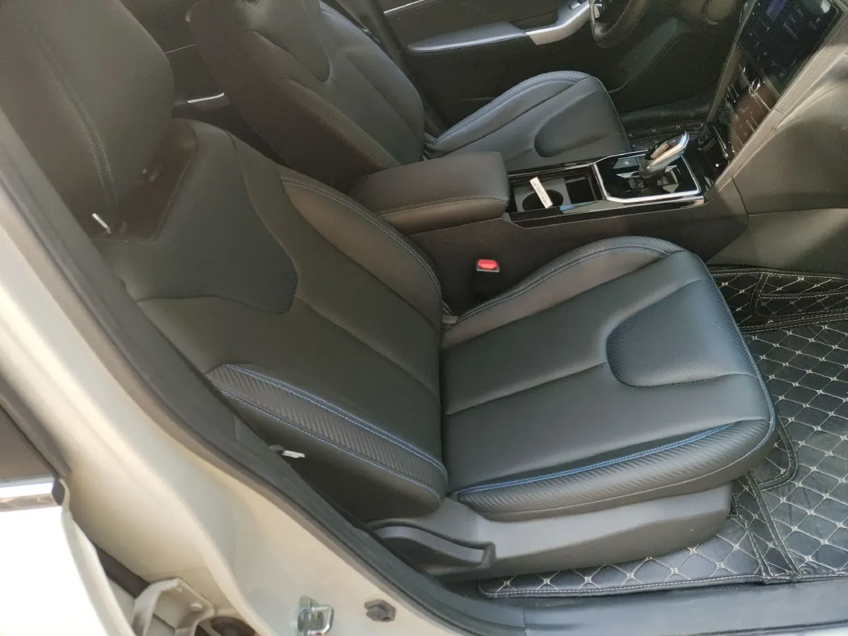 2022 Venucia D60 EV BEV 50KWH,autocango,china used car exporter,china ev exporter,chinese used car exporter,chinese used ev exporter