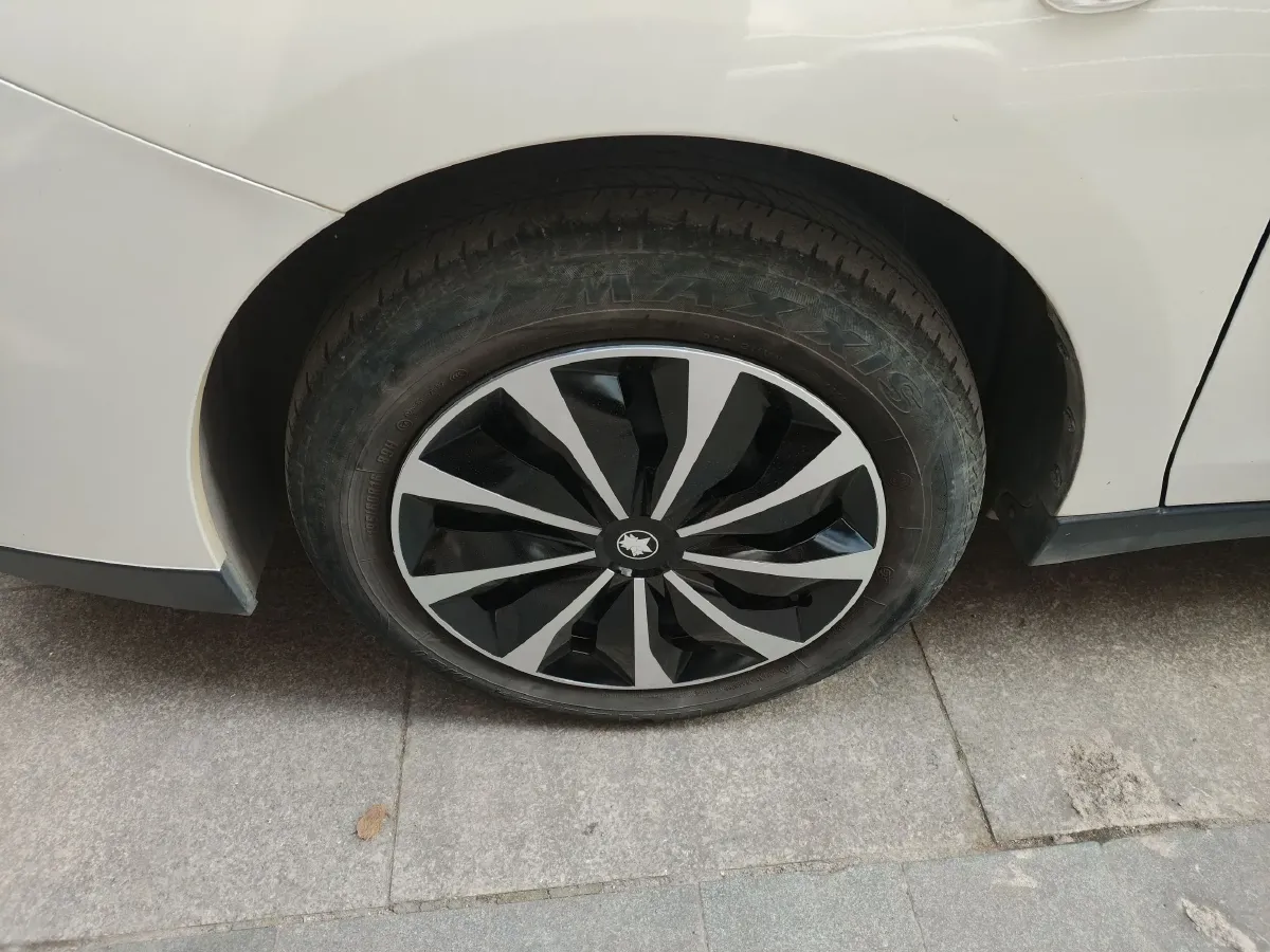 2022 Venucia D60 EV BEV 50KWH,autocango,china used car exporter,china ev exporter,chinese used car exporter,chinese used ev exporter