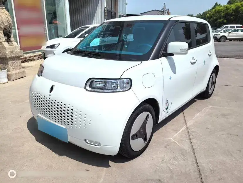 2020 Ora WhiteCat BEV 33KWH