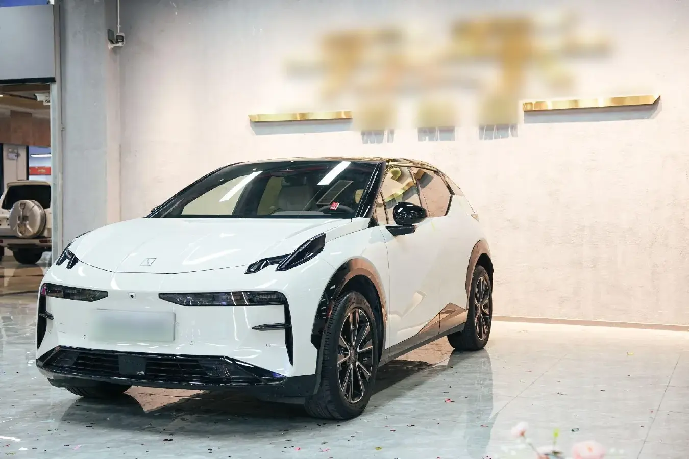 2023 Zeekr X BEV 66KWH