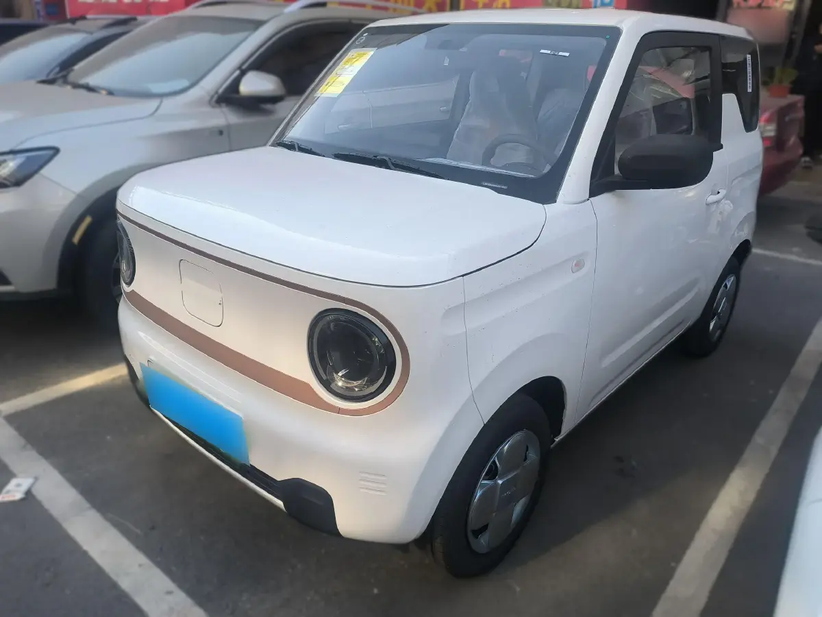 2024 Geely Panda BEV 17.03KWH