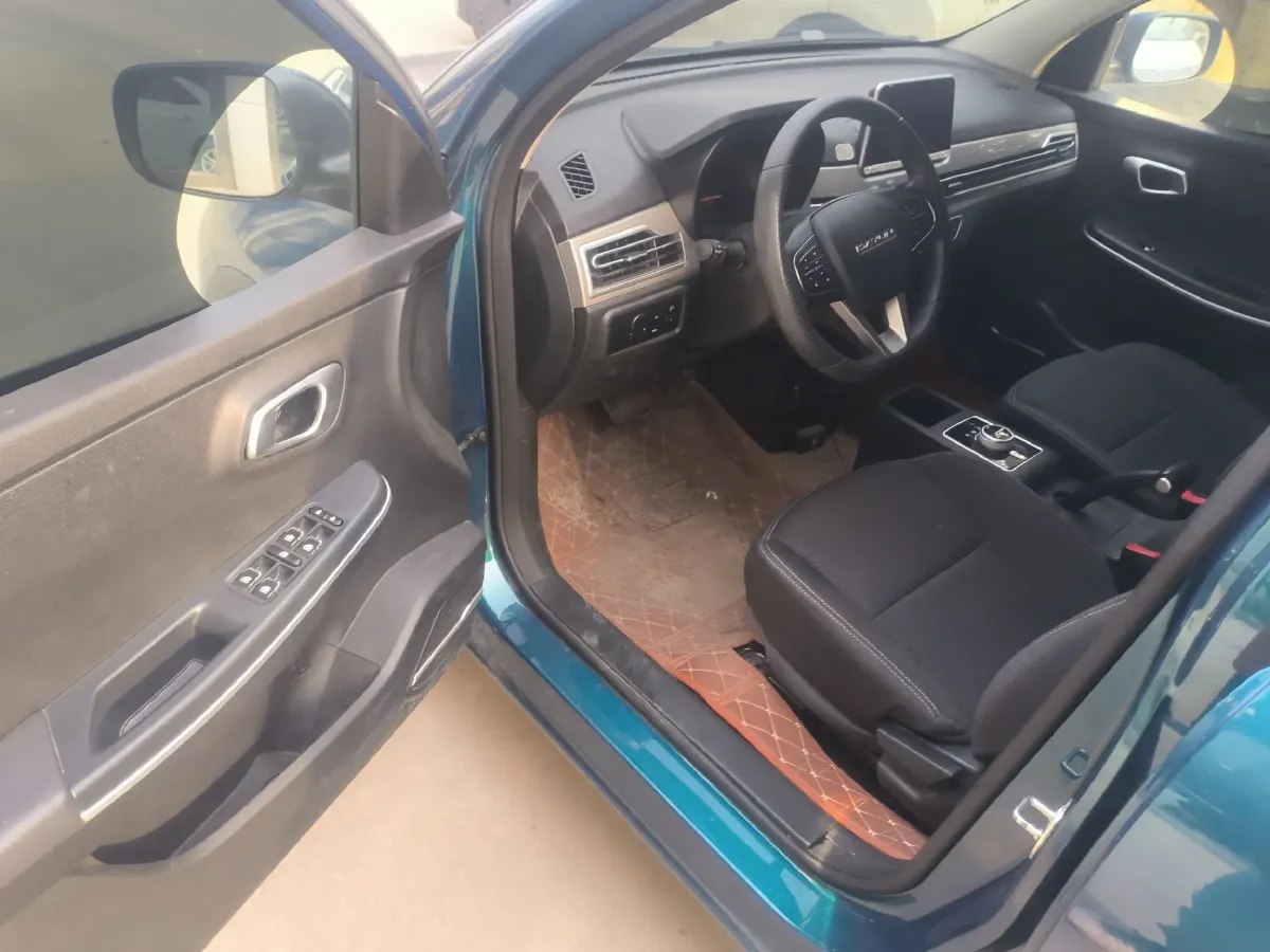 2022 DaYun YueHu BEV 30.66KWH,autocango,china used car exporter,china ev exporter,chinese used car exporter,chinese used ev exporter