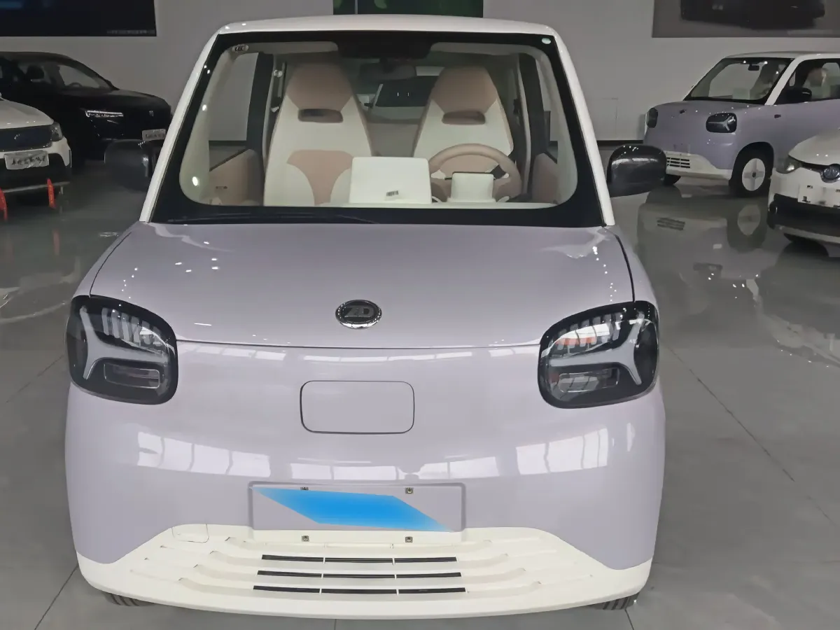 2024 ZD Rainbow BEV 17.18KWH,autocango,china used car exporter,china ev exporter,chinese used car exporter,chinese used ev exporter