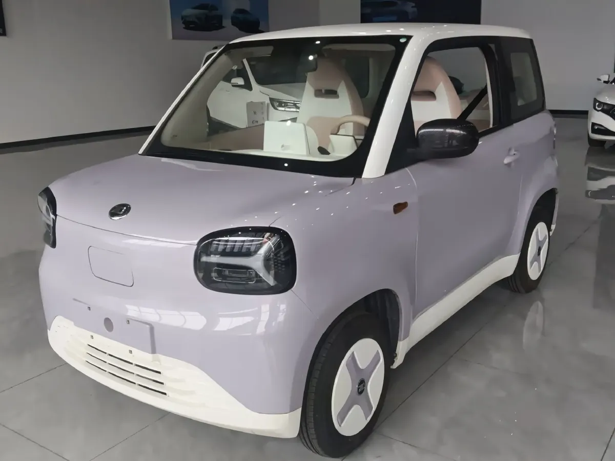 2024 ZD Rainbow BEV 17.18KWH,autocango,china used car exporter,china ev exporter,chinese used car exporter,chinese used ev exporter