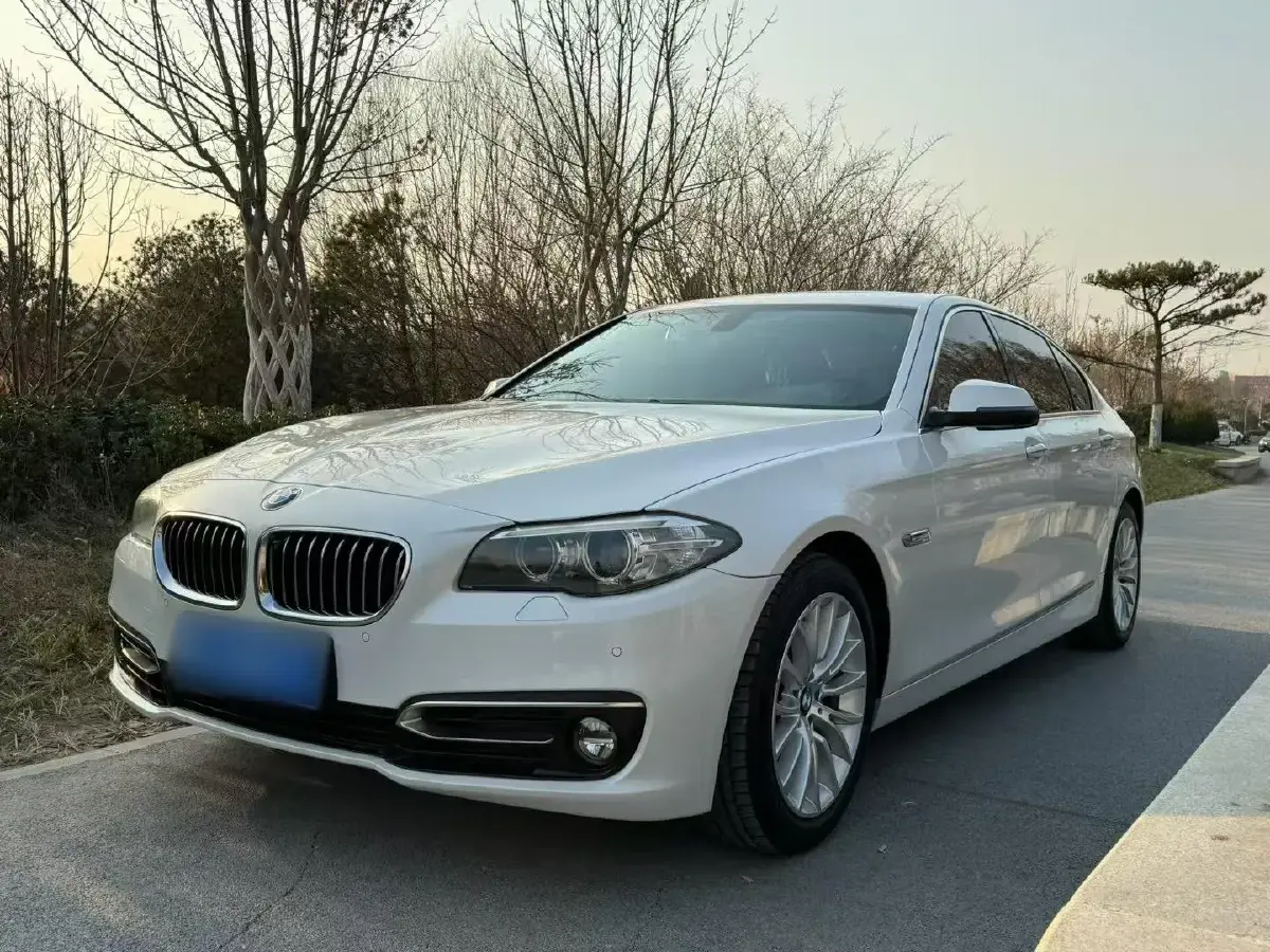 2014 BMW 5 Series 2.0T 218HP L4 8AT