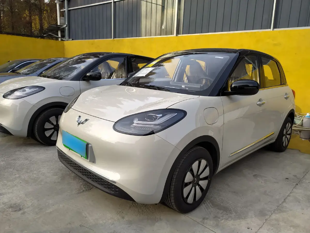 2024 WuLing BinGuo BEV 31.9KWH