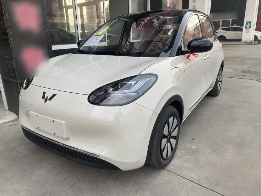 2024 WuLing BinGuo BEV 31.9KWH