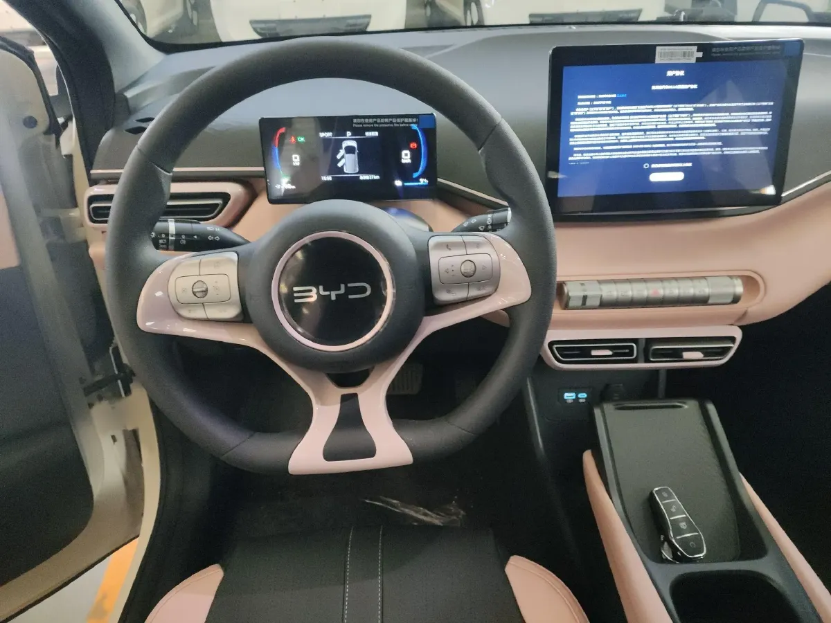 2025 BYD Seagull BEV 30.08KWH,autocango,china used car exporter,china ev exporter,chinese used car exporter,chinese used ev exporter