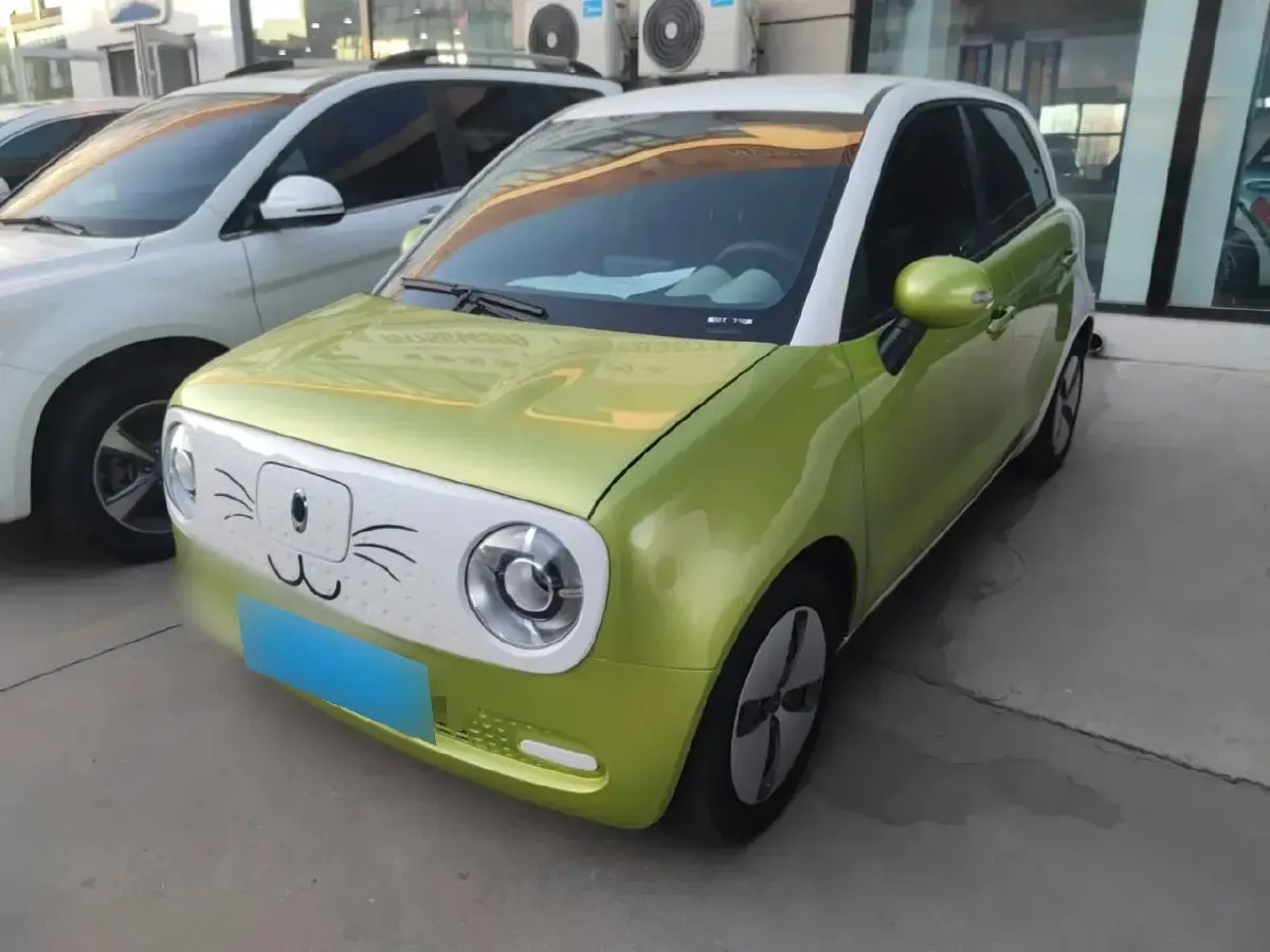 2021 Ora BlackCat BEV 28.5KWH