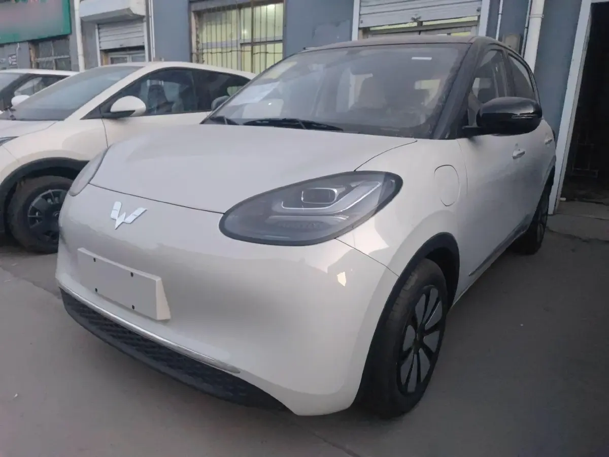 2024 WuLing BinGuo BEV 31.9KWH