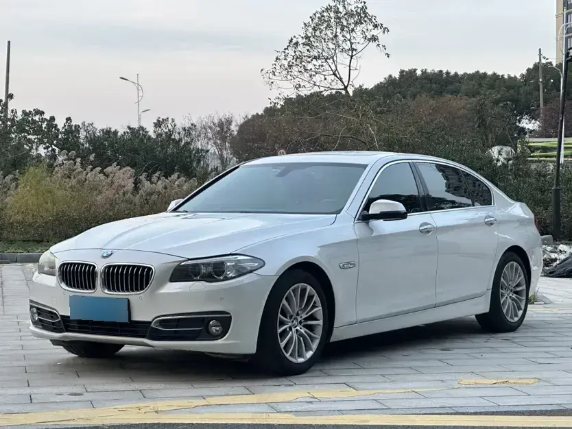 2017 BMW 5 Series 2.0T 218HP L4 8AT