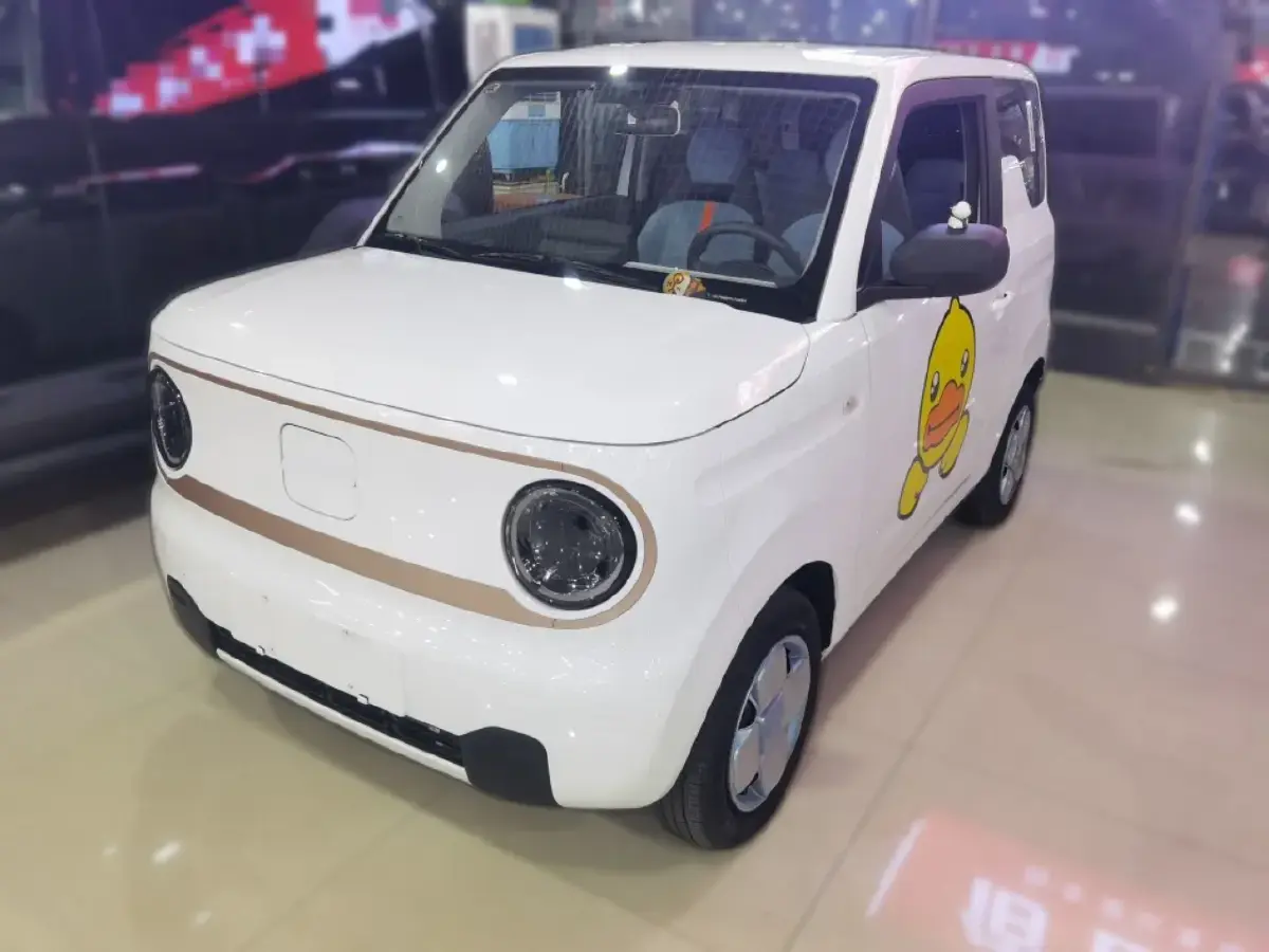 2023 Geely Panda BEV 17.03KWH