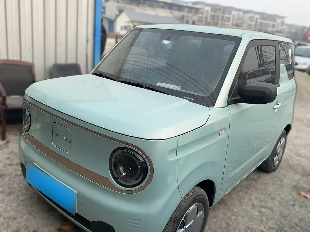2023 Geely Panda BEV 17.03KWH