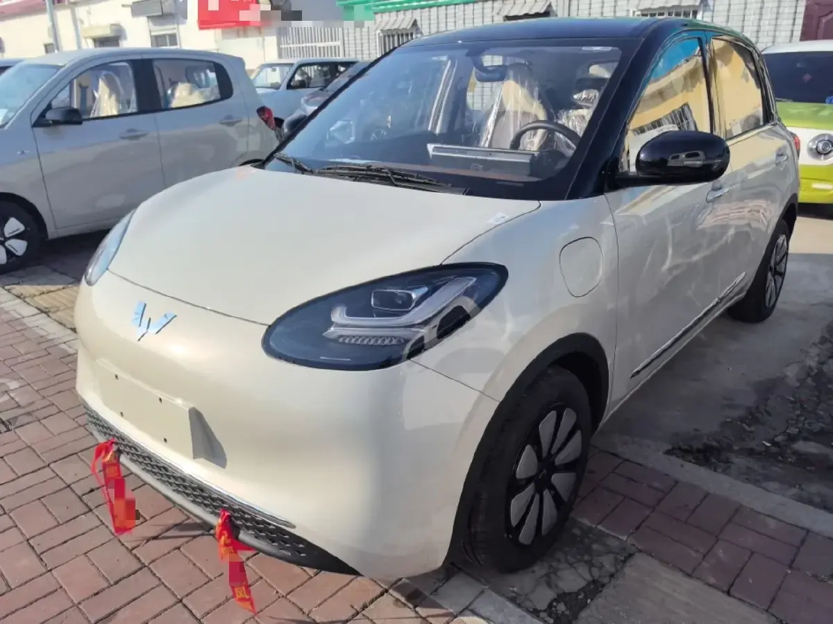 2024 WuLing BinGuo BEV 31.9KWH