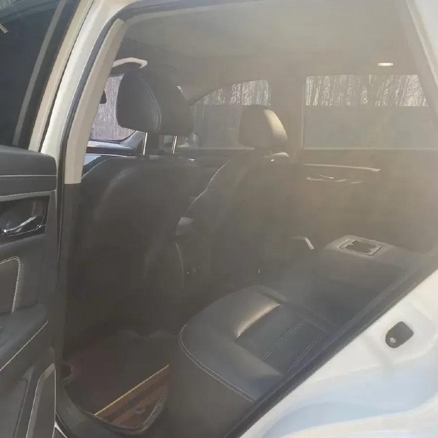 2020 Venucia Star 1.5T 190HP L4 7DCT,autocango,china used car exporter,china ev exporter,chinese used car exporter,chinese used ev exporter