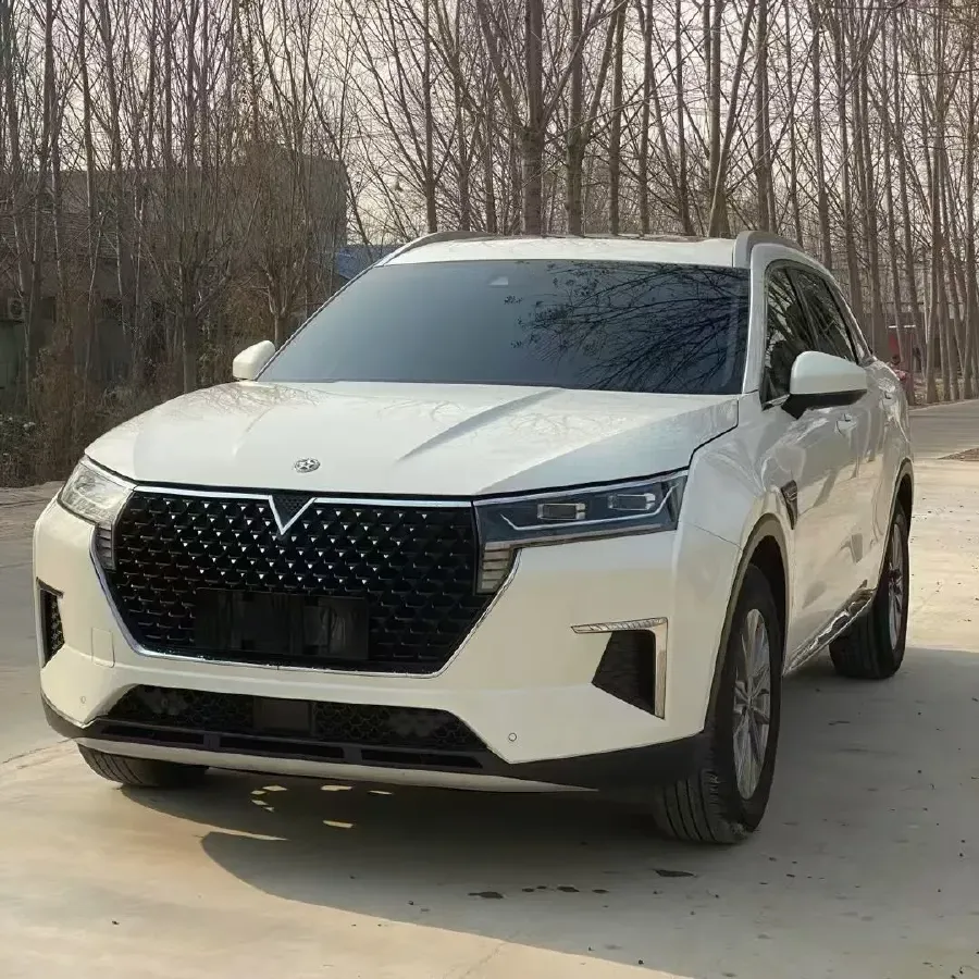 2020 Venucia Star 1.5T 190HP L4 7DCT,autocango,china used car exporter,china ev exporter,chinese used car exporter,chinese used ev exporter