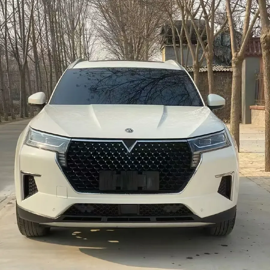 2020 Venucia Star 1.5T 190HP L4 7DCT,autocango,china used car exporter,china ev exporter,chinese used car exporter,chinese used ev exporter