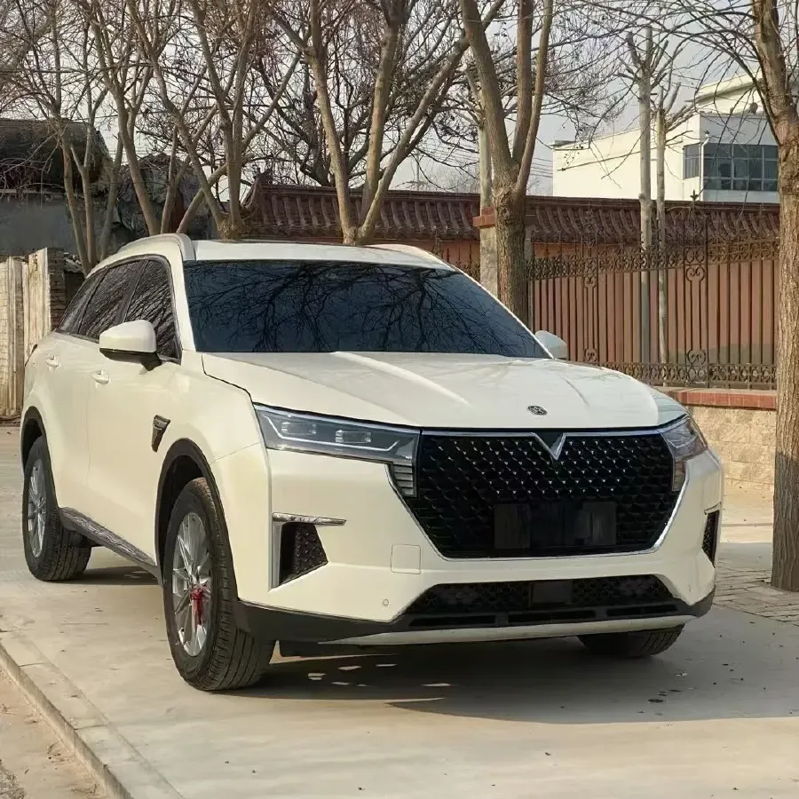 2020 Venucia Star 1.5T 190HP L4 7DCT,autocango,china used car exporter,china ev exporter,chinese used car exporter,chinese used ev exporter