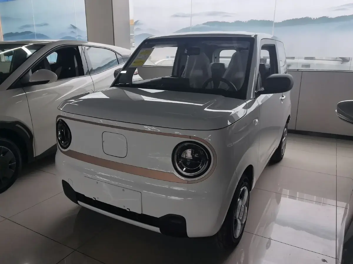 2024 Geely Panda BEV 17.03KWH
