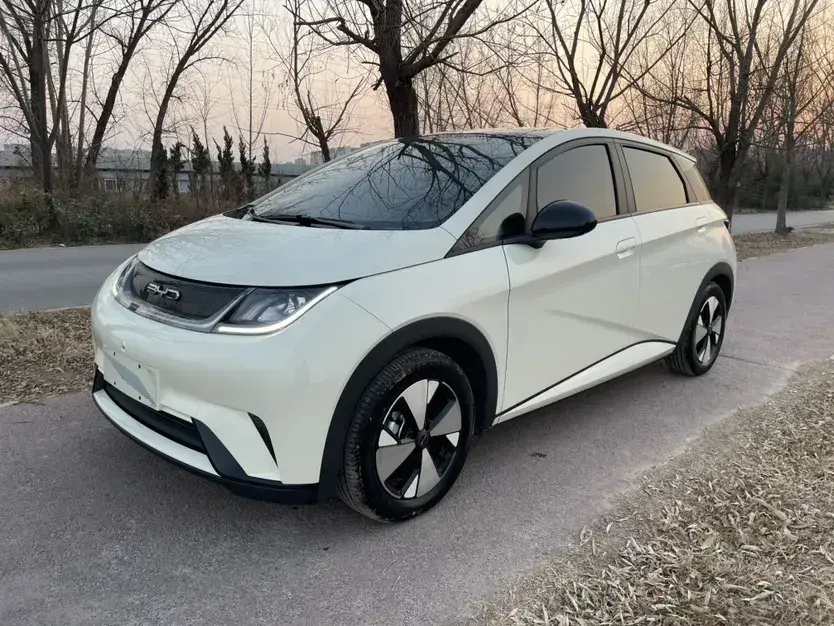 2023 BYD Dolphin BEV 44.928KWH