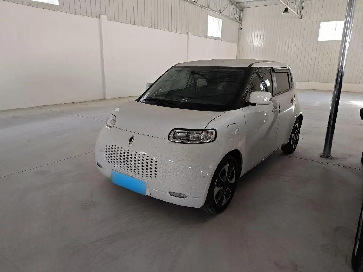 2020 Ora WhiteCat BEV 29.4KWH