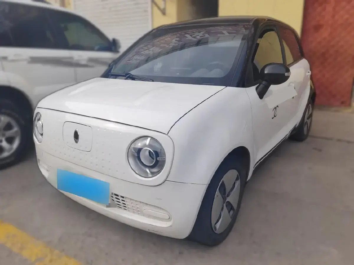 2021 Ora BlackCat BEV 28.5KWH