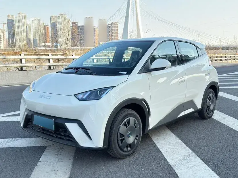 2025 BYD Seagull BEV 30.08KWH