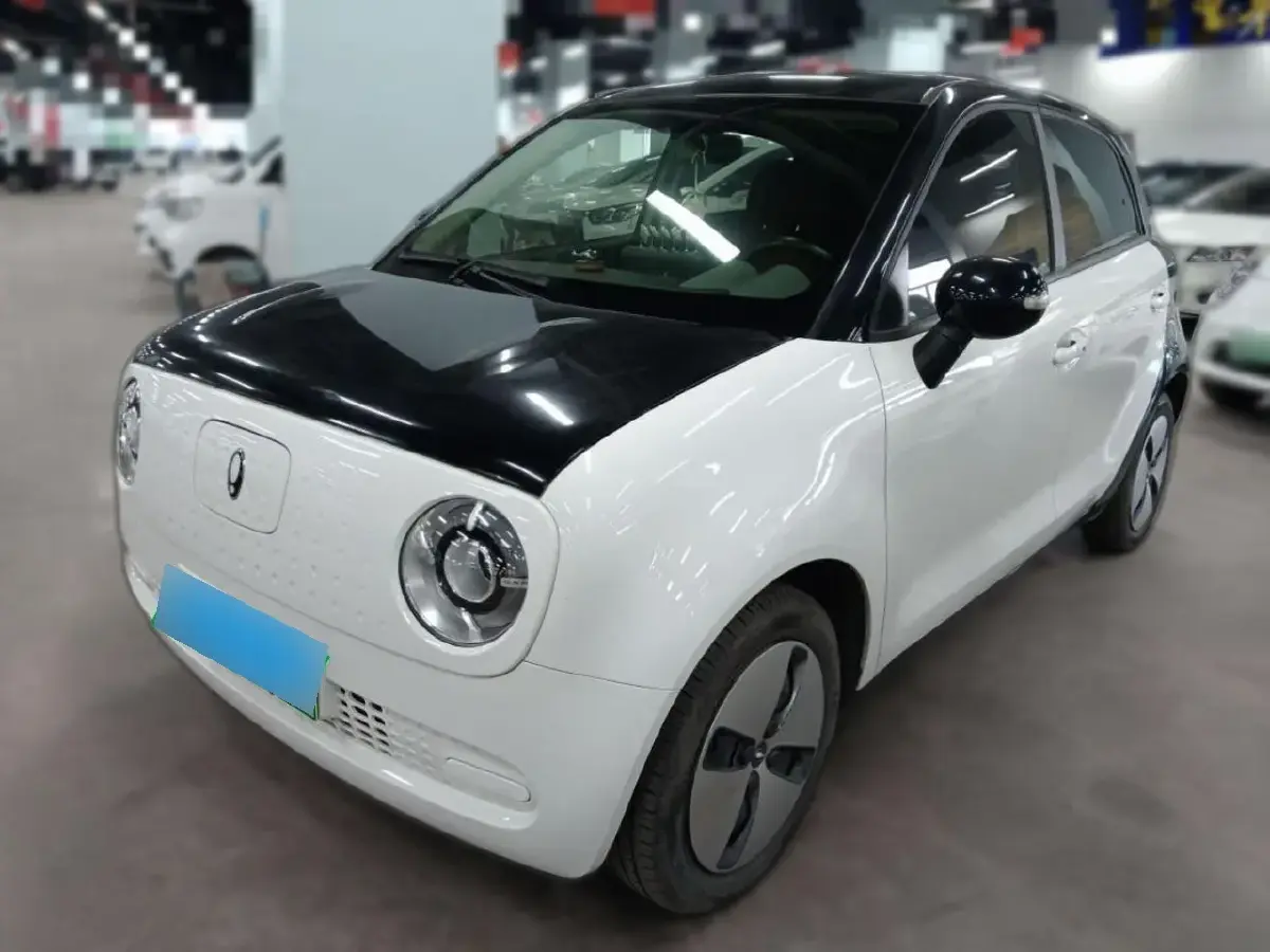 2022 Ora BlackCat BEV 28.5KWH