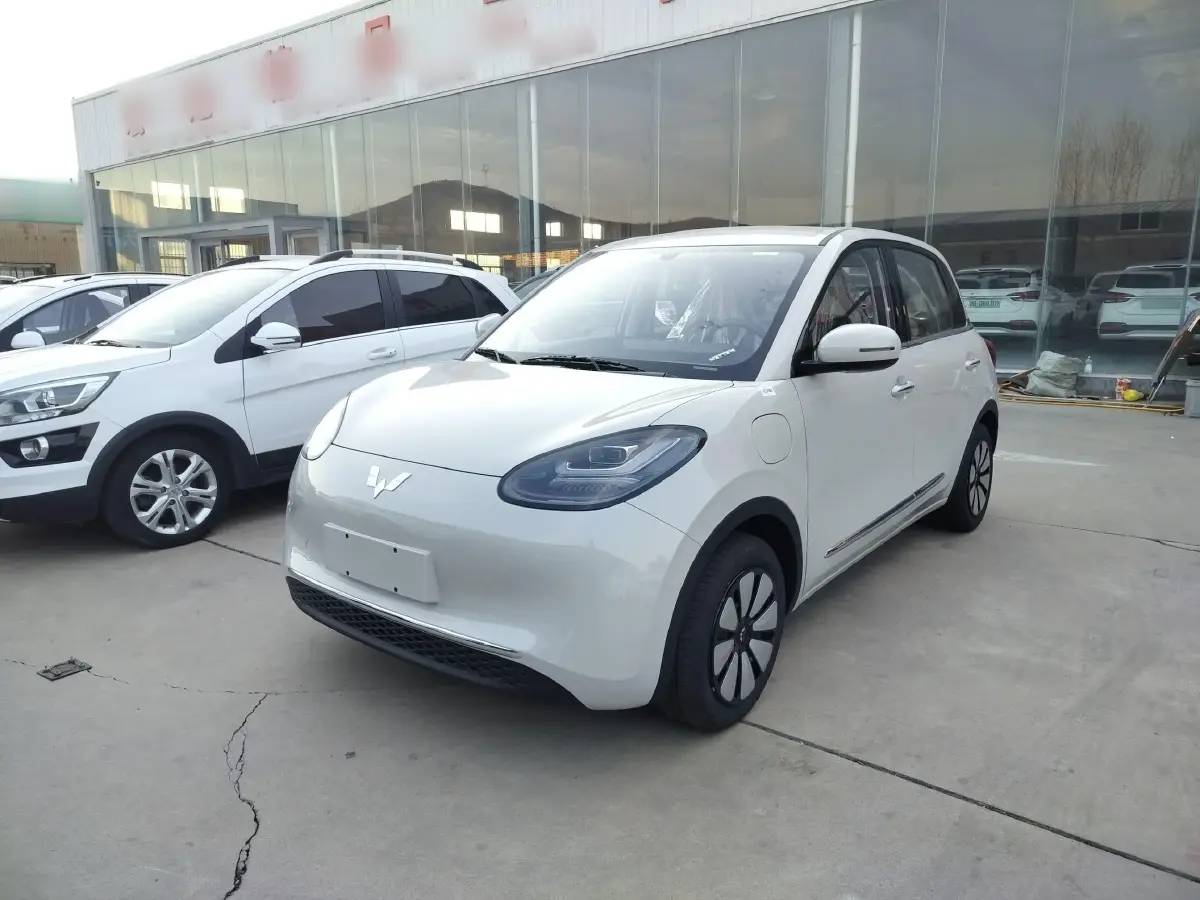 2024 WuLing BinGuo BEV 31.9KWH