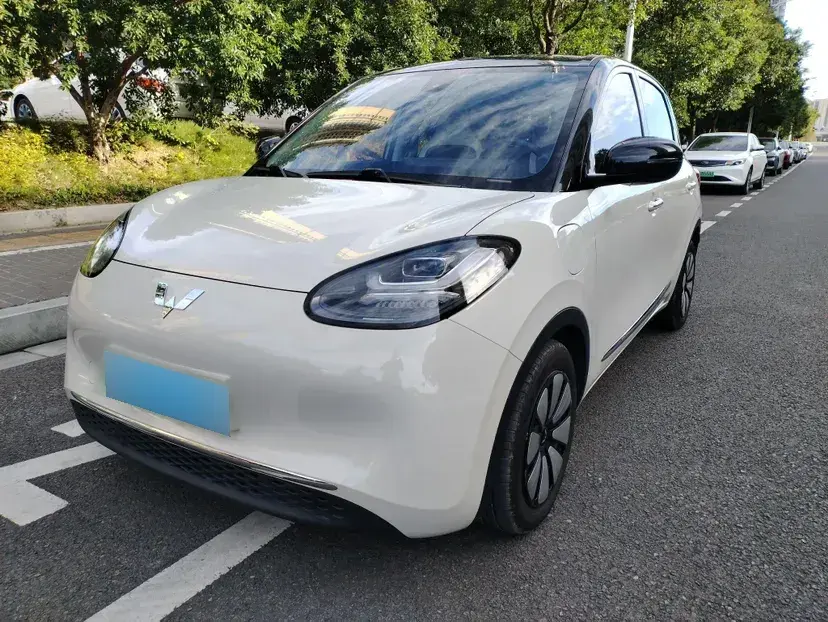 2023 WuLing BinGuo BEV 31.9KWH