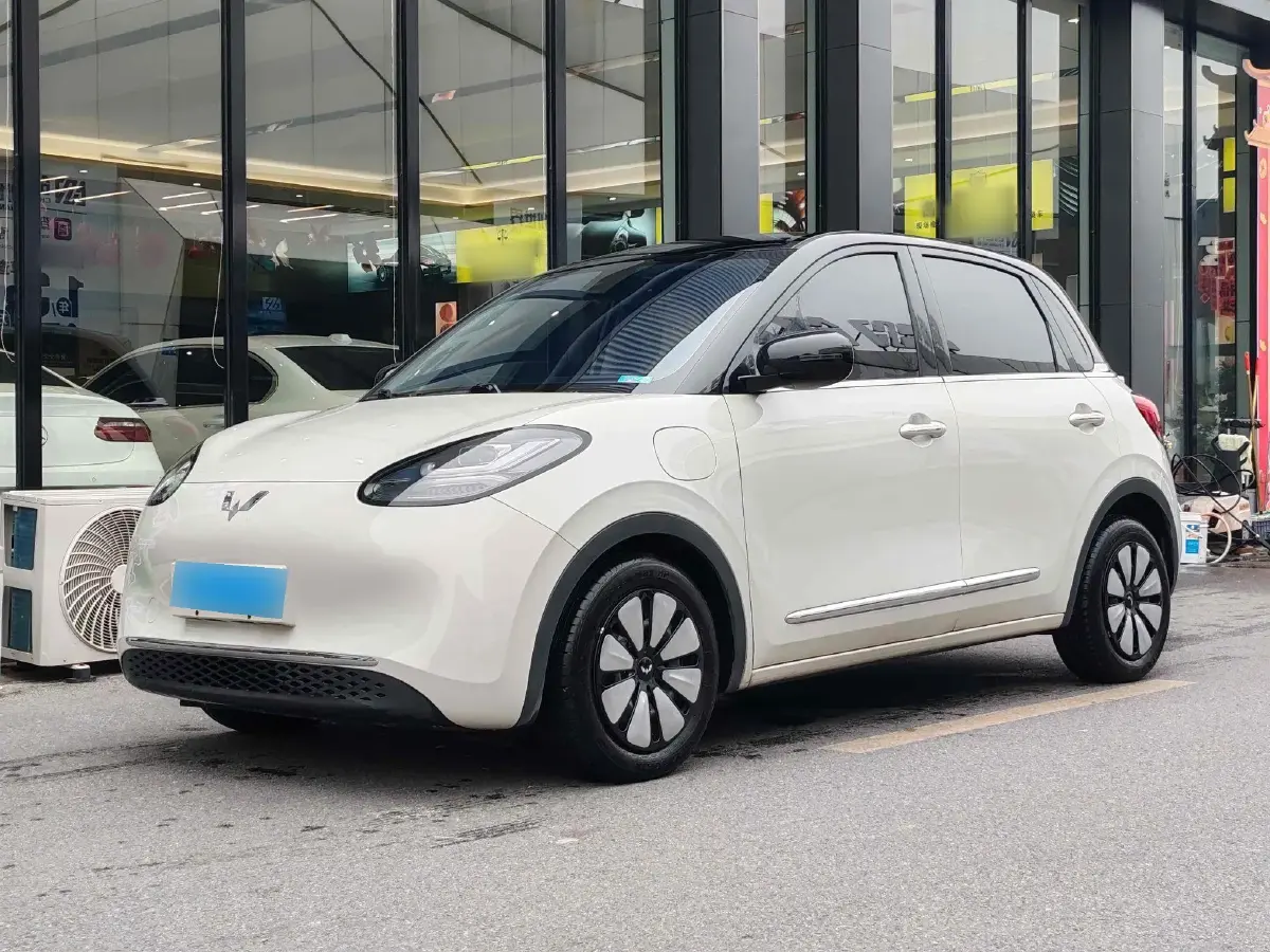 2023 WuLing BinGuo BEV 31.9KWH