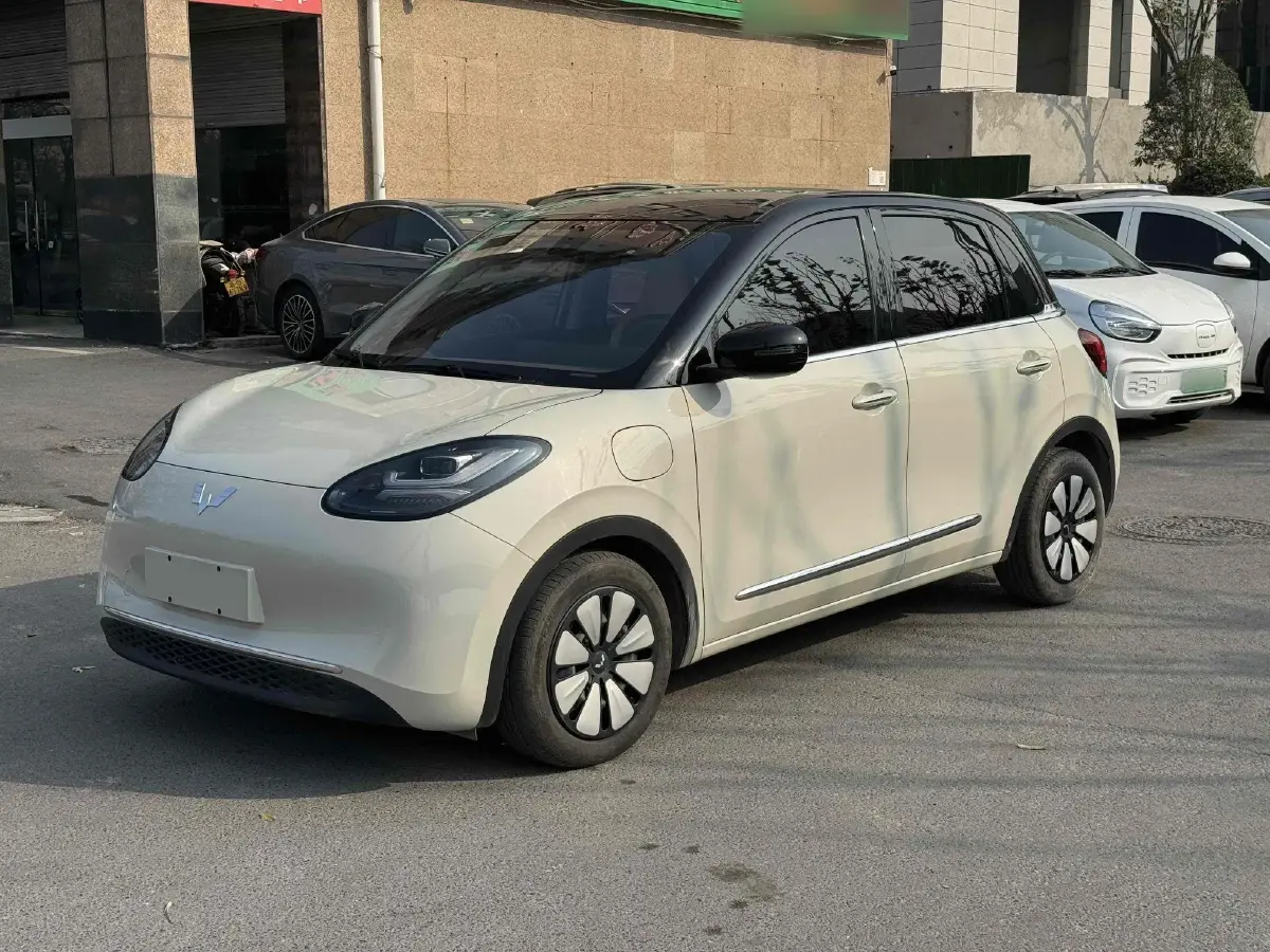 2023 WuLing BinGuo BEV 31.9KWH