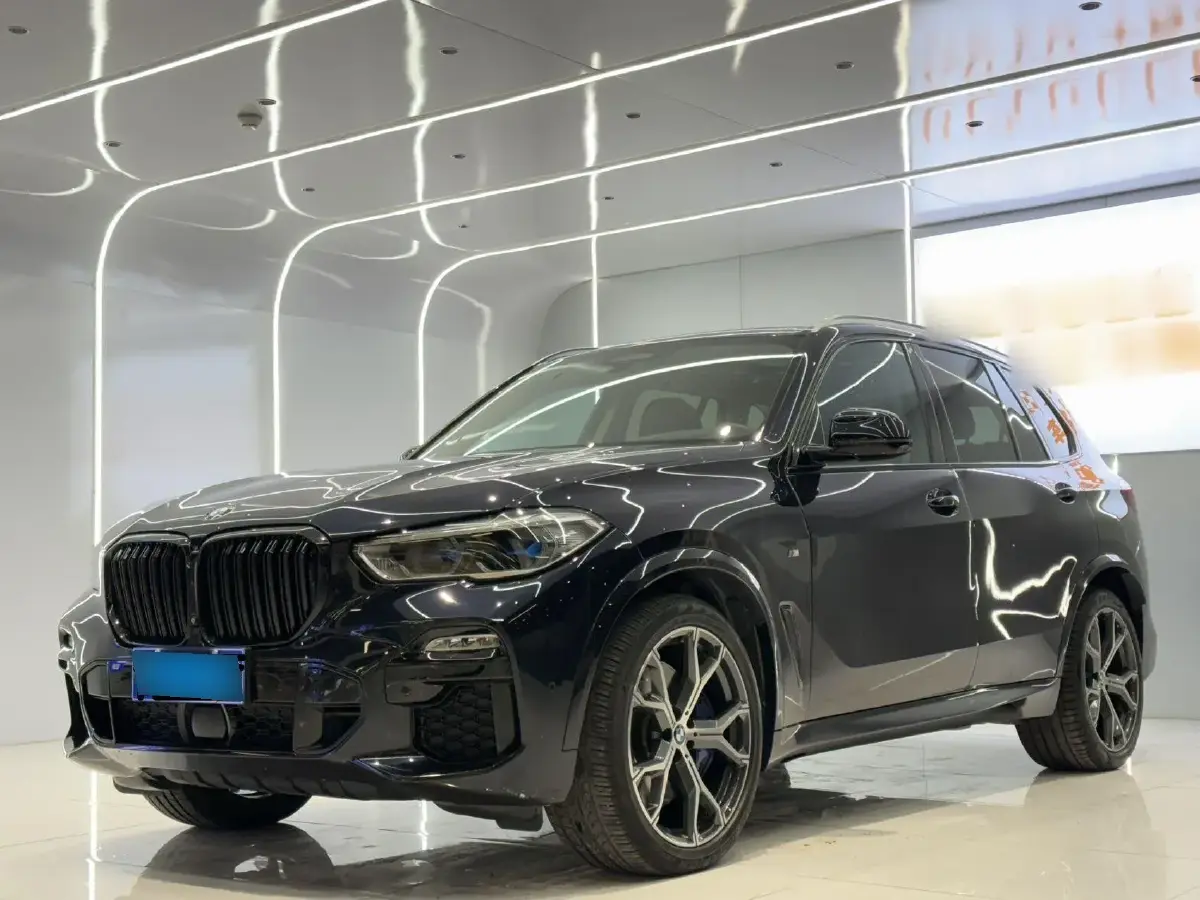 2019 BMW X5 3.0T 340HP L6 8AT