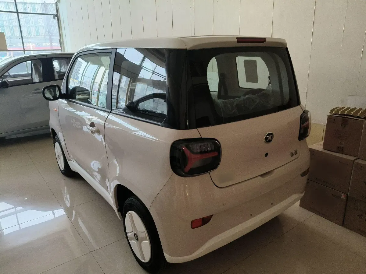 2024 ZD Rainbow BEV 17.3KWH,autocango,china used car exporter,china ev exporter,chinese used car exporter,chinese used ev exporter