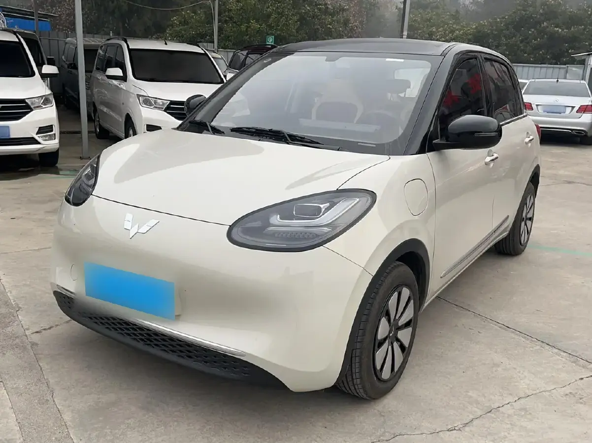 2024 WuLing BinGuo BEV 31.9KWH