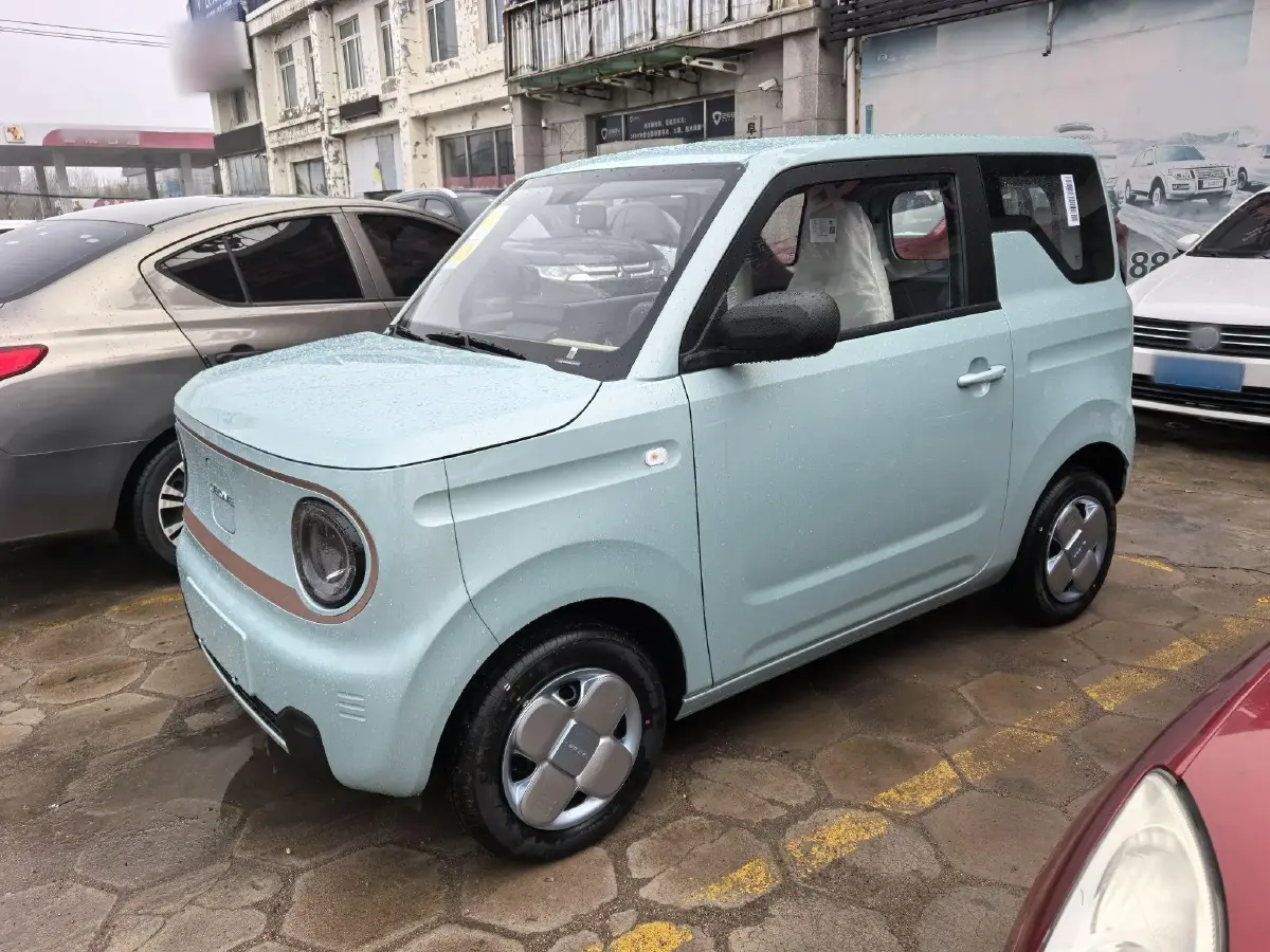 2024 Geely Panda BEV 17.03KWH