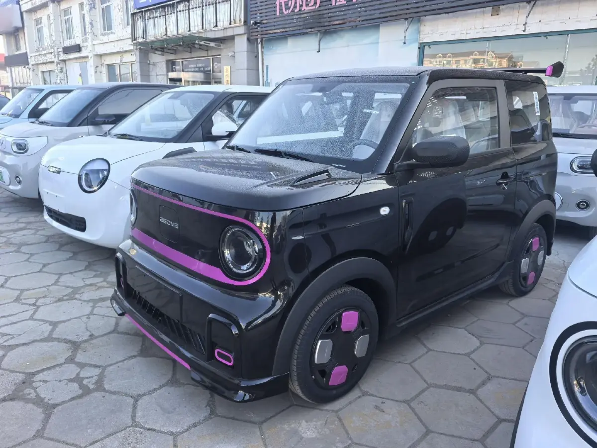 2025 Geely Panda BEV 17.03KWH