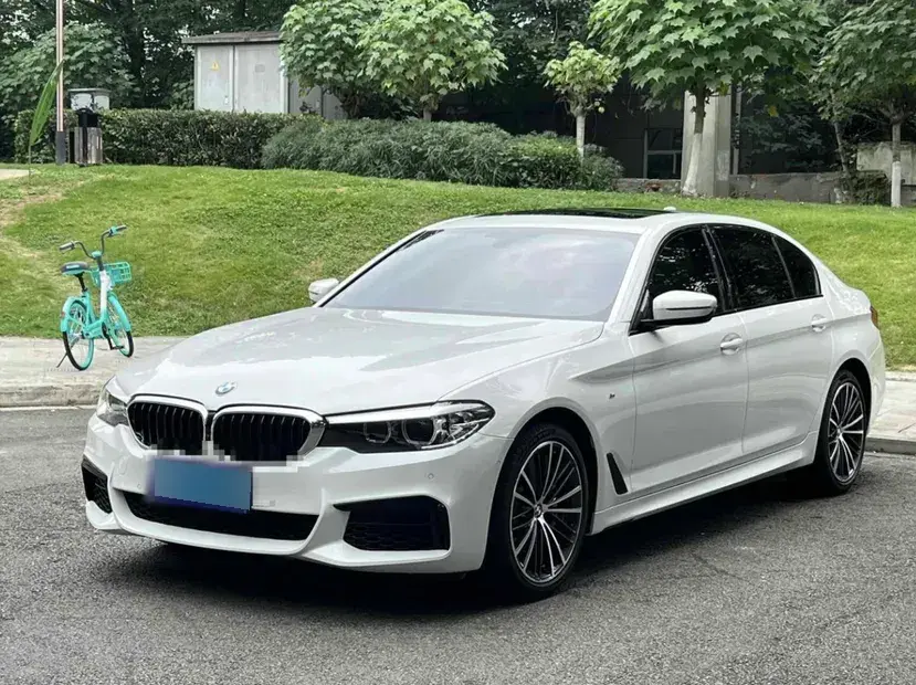 2019 BMW 5 Series 2.0T 252HP L4 8AT