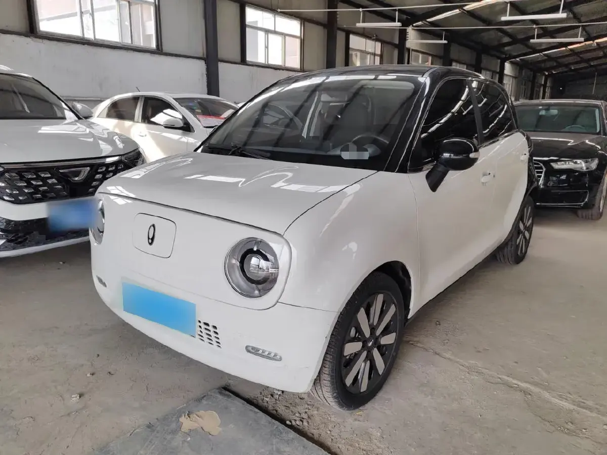 2022 Ora BlackCat BEV 33KWH